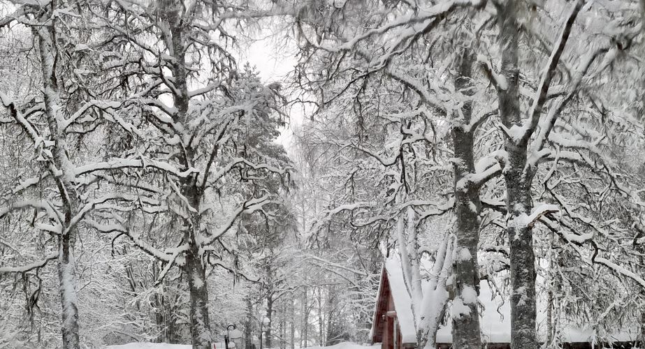 Zweden omgeving Zweden omgeving